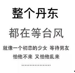 最新台风爆料新闻内容  第1张