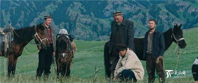 远去的牧歌爆料视频播放,揭秘视频背后的感人故事 第1张 远去的牧歌爆料视频播放,揭秘视频背后的感人故事 第1张