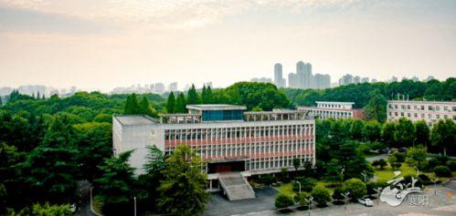 广西建院爆料最新消息,揭秘重大工程进展与幕后故事  第3张