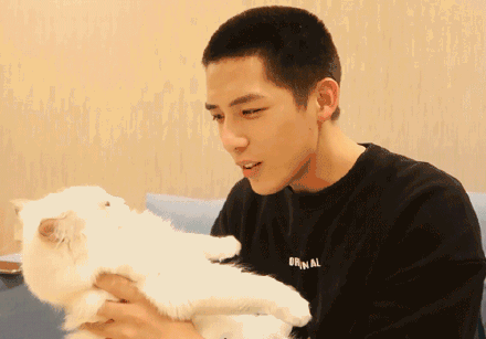 娱乐圈吃瓜爆料陈星旭,揭秘明星背后的真相